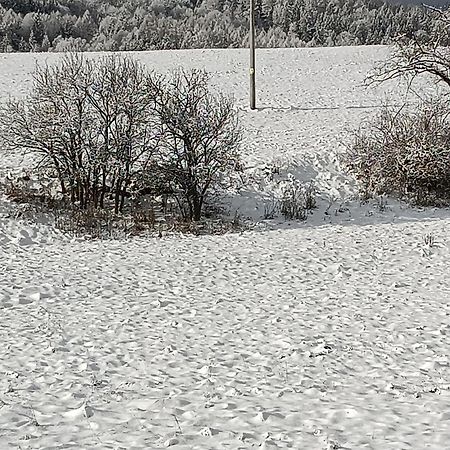 Ubytovani U Babicky Velké Losiny Dış mekan fotoğraf
